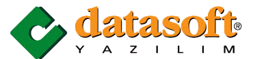Datasoft Logo